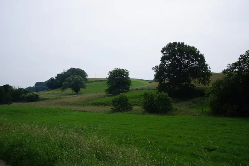 Grüne Hügellandschaft mit Wiesen und Baumgruppen am Stadtrand von Mettmann