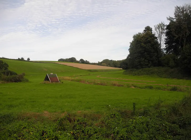 Grüne Wiesen und Waldrand im Schwarzbachtal zwischen Ratingen und Mettmann